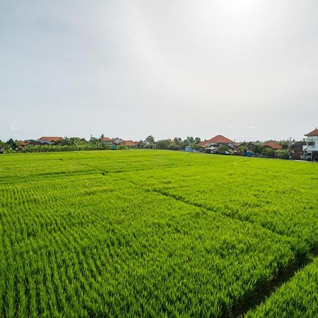 Raka Rai Homestay Canggu Buitenkant foto